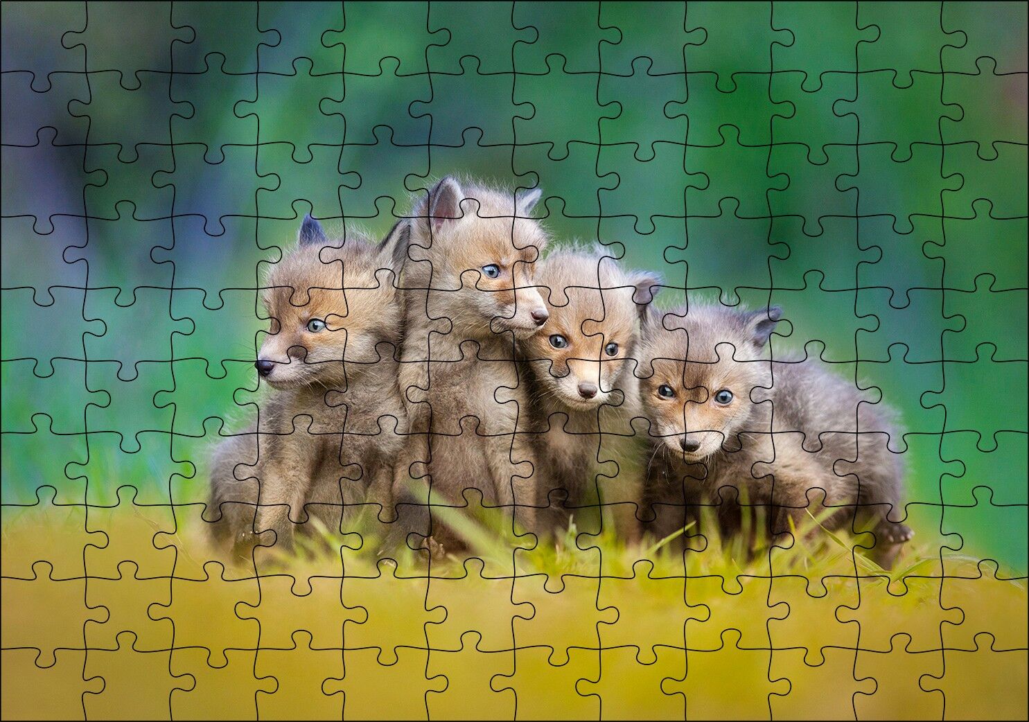 Çayırda Sevimli Tilki Yavruları Puzzle Yapboz MDF Ahşap