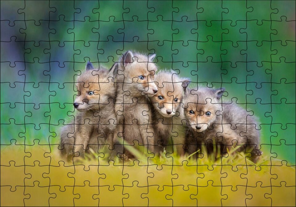 Çayırda Sevimli Tilki Yavruları Puzzle Yapboz MDF Ahşap