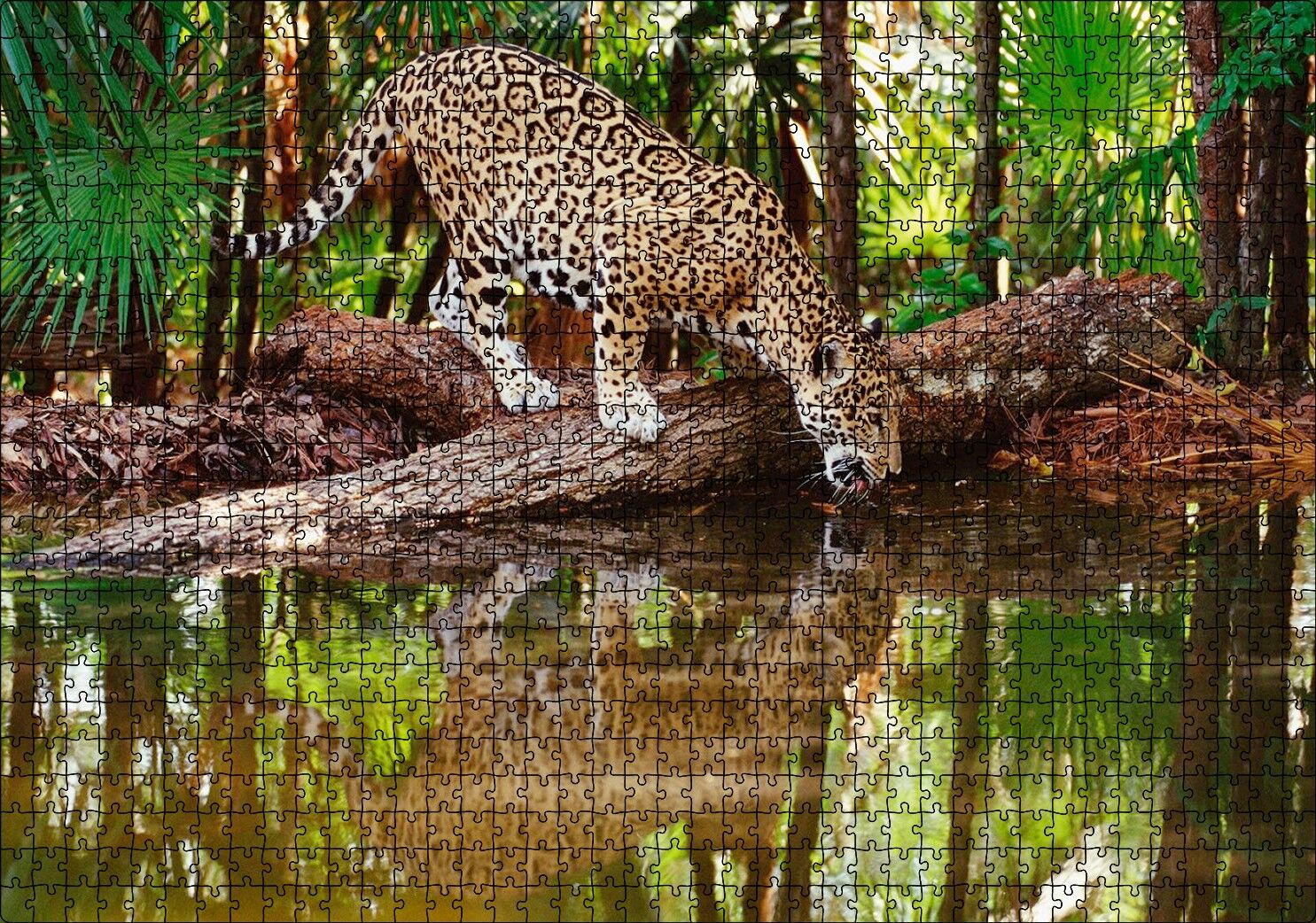 Ormanda Su İçen Leopar Görseli Puzzle Yapboz MDF Ahşap 1000 Parça 49 cm X 68 cm