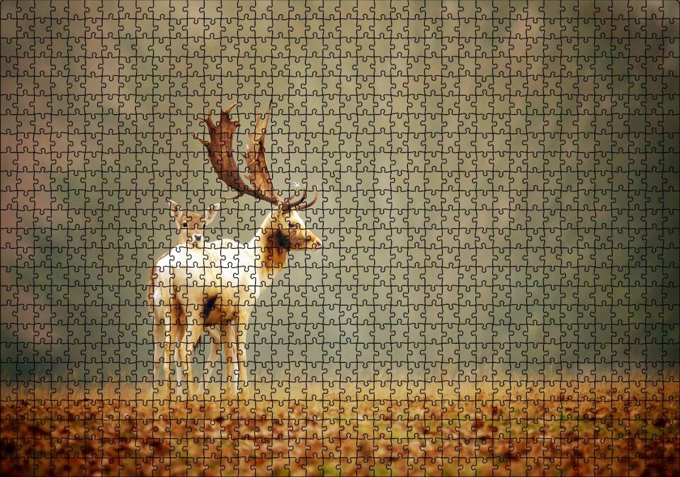 Yerde Sonbahar Yaprakları ve Anne Geyikle Yavrusu Puzzle Yapboz MDF Ahşap 1000 Parça 49 cm X 68 cm