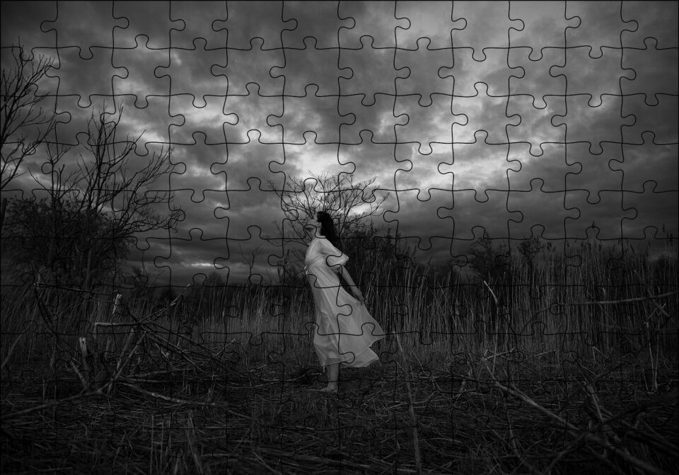 Kuru Sazlıklar İçindeki Beyazlı Kız Puzzle Yapboz MDF Ahşap 120 Parça 24 cm X 34 cm