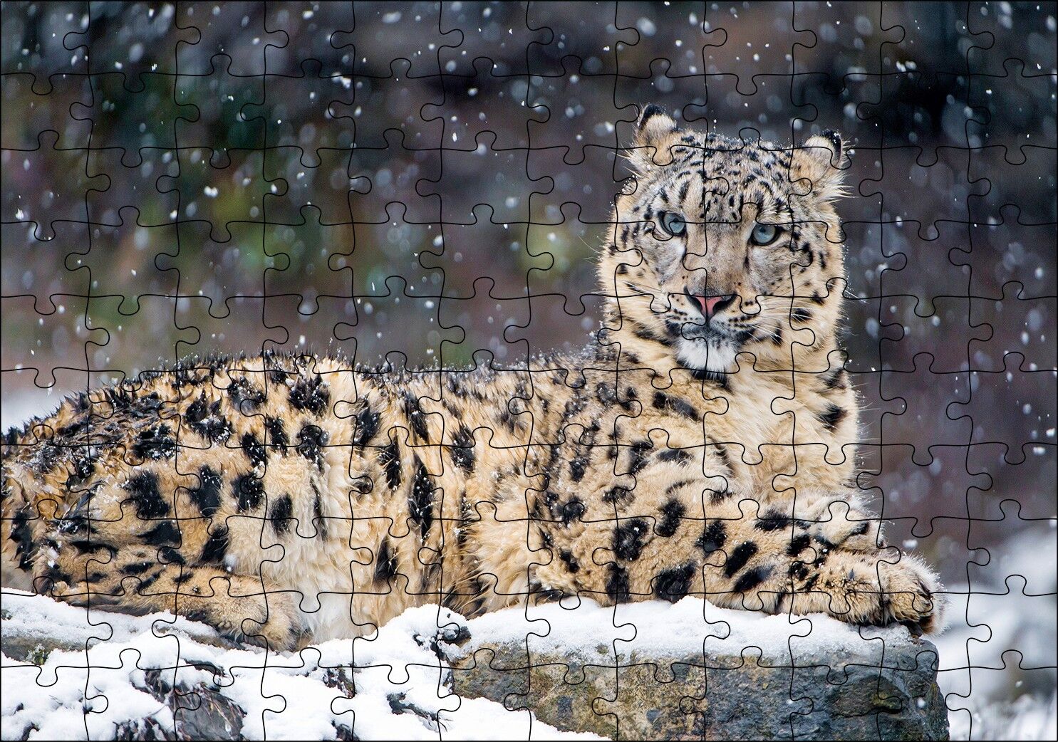 Kar Yağışı Ve Leopar Görseli Puzzle Yapboz MDF Ahşap 120 Parça 24 cm X 34 cm