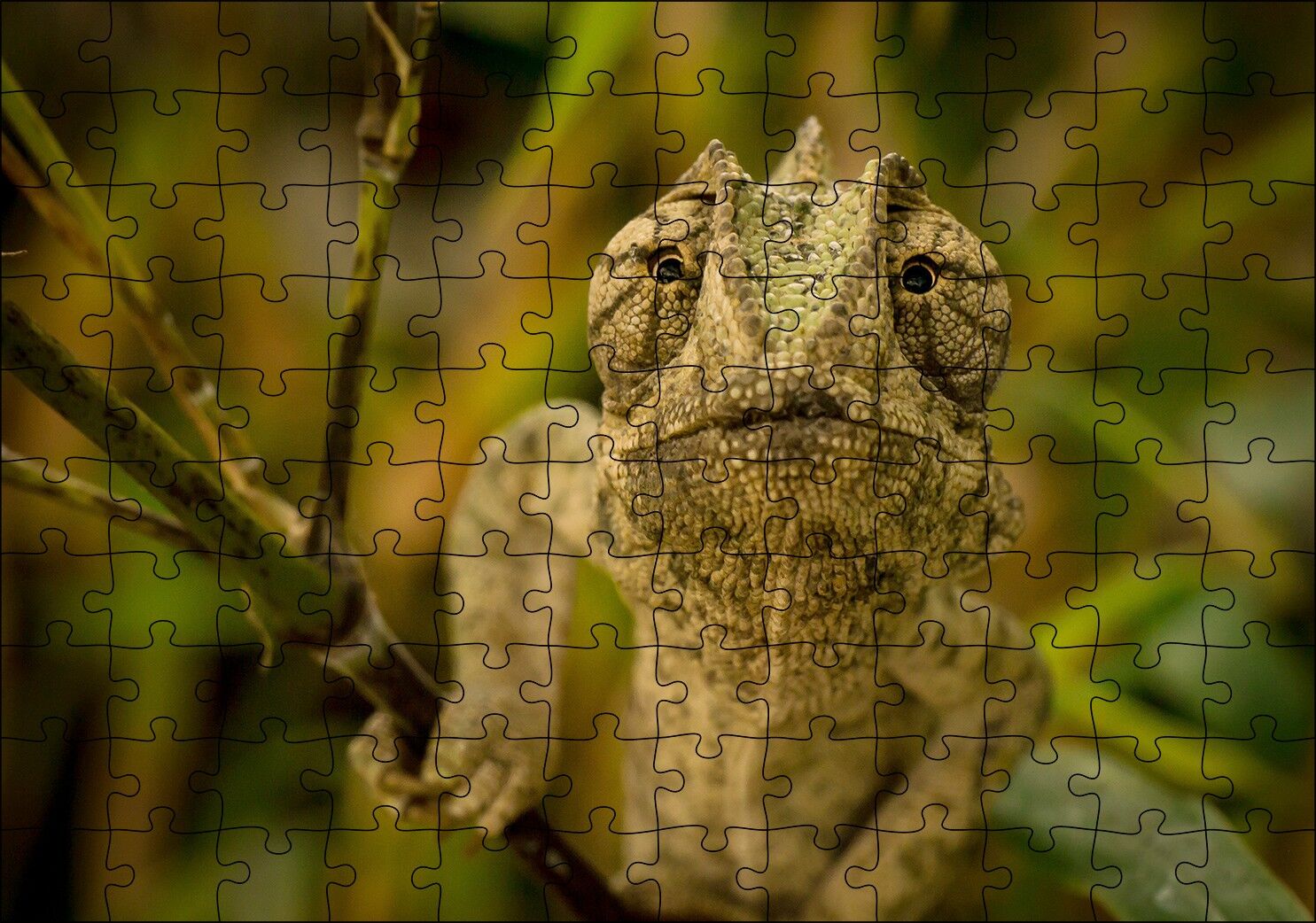 Dalda Boz Renkli Bukalemun Puzzle Yapboz MDF Ahşap