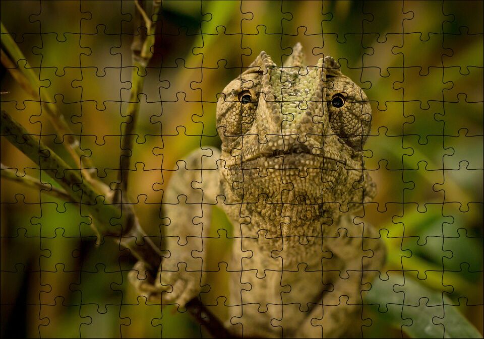 Dalda Boz Renkli Bukalemun Puzzle Yapboz MDF Ahşap