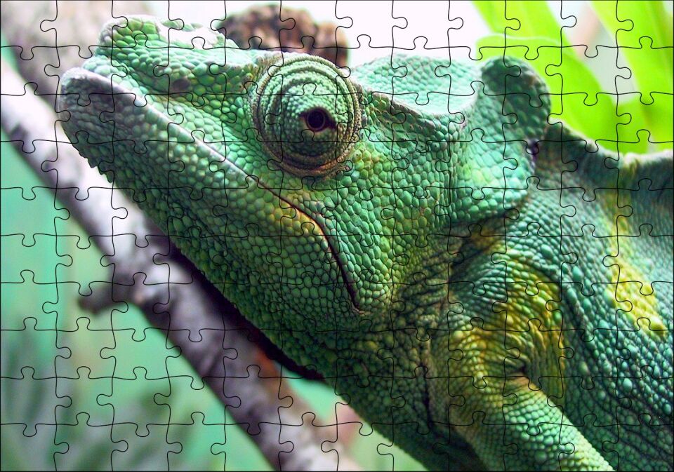 Daldaki Bukalemun Yakın Çekim Puzzle Yapboz MDF Ahşap