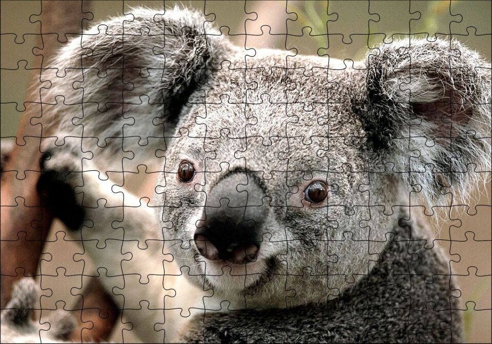 Ağaçtaki Sevimli Koala Yakın Çekim Puzzle Yapboz MDF Ahşap 120 Parça 24 cm X 34 cm
