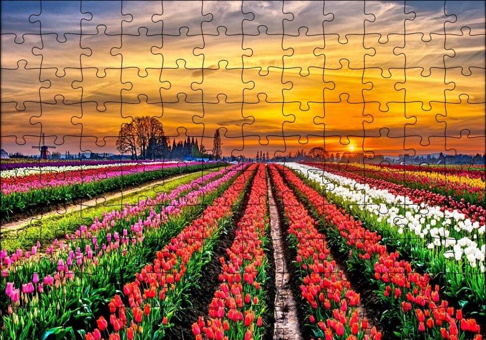 Hollanda'da Günbatımı ve Lale Tarlaları Puzzle Yapboz MDF Ahşap