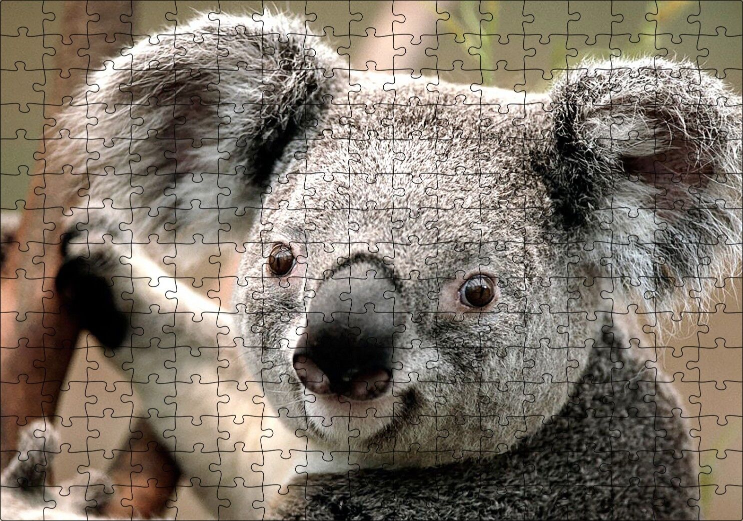 Ağaçtaki Sevimli Koala Yakın Çekim Puzzle Yapboz MDF Ahşap 255 Parça 34 cm X 49 cm