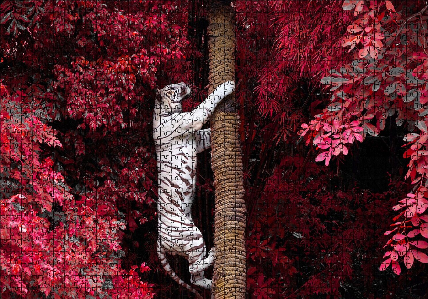 Kırmızı Yapraklar ve Ağaca Tırmanan Beyaz Kaplan Puzzle Yapboz MDF Ahşap 1000 Parça 49 cm X 68 cm