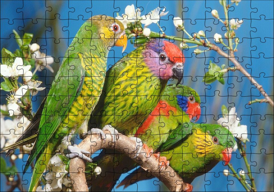 Dalın Üzerindeki Sevda Kuşları Puzzle Yapboz MDF Ahşap