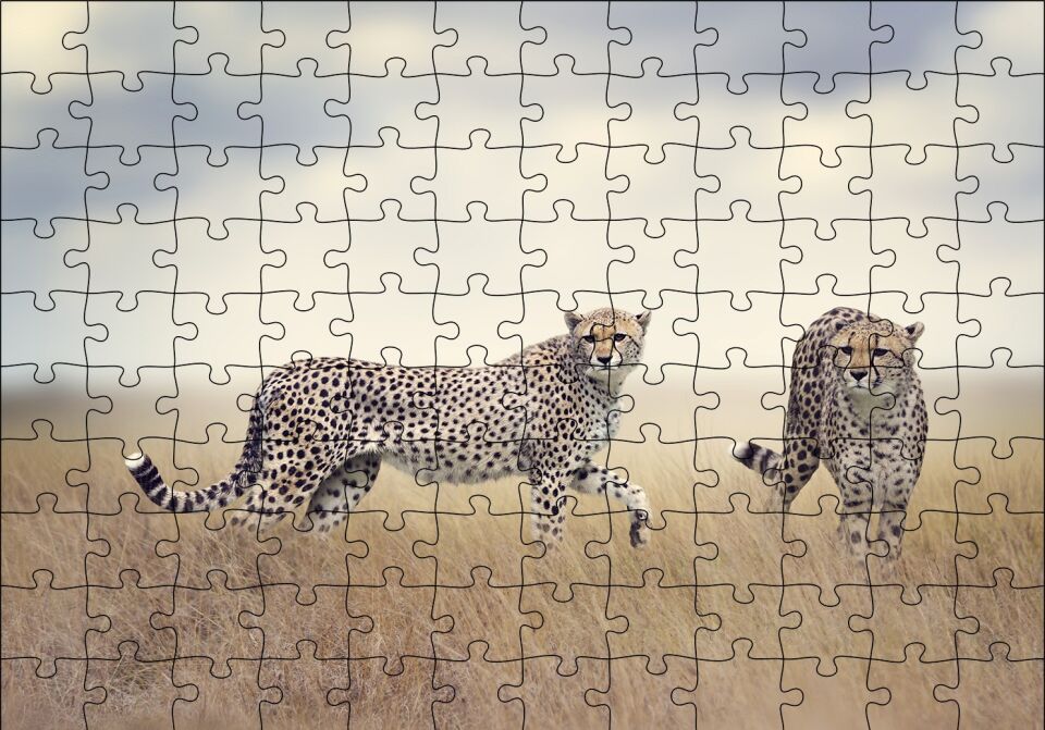 Savanada Av Hazırlığındaki Çitalar Puzzle Yapboz MDF Ahşap 120 Parça 24 cm X 34 cm