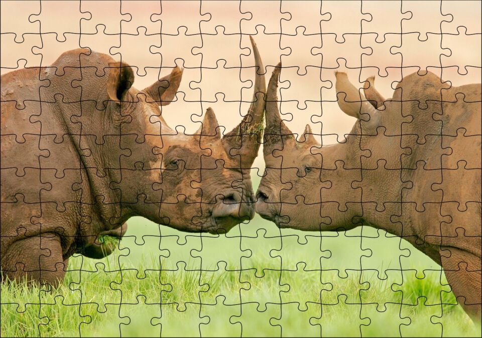 Yeşil Çayırdaki Erkek ve Dişi Gergedan Puzzle Yapboz MDF Ahşap 120 Parça 24 cm X 34 cm