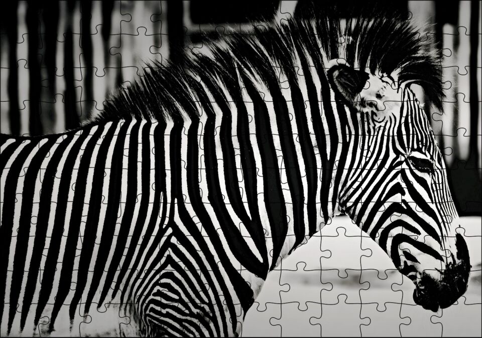 Benzersiz Deseniyle Zebra Yakın Çekim Puzzle Yapboz MDF Ahşap 120 Parça 24 cm X 34 cm