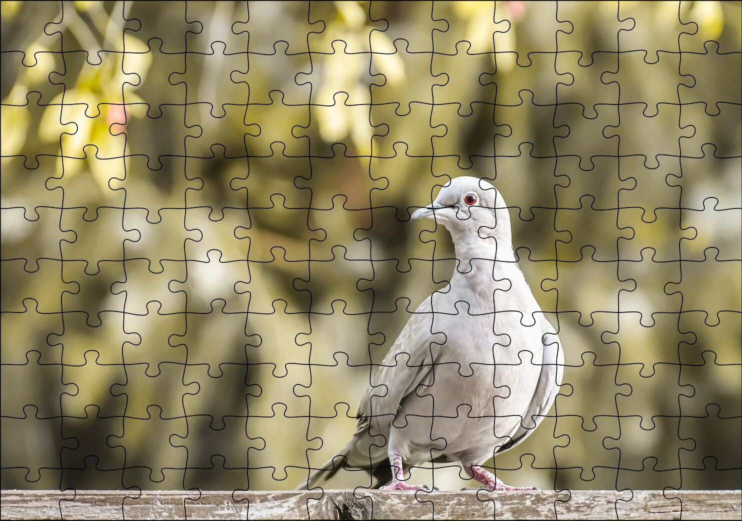 Kütük Üzerinde Gri Kumru Flu Arka Plan Puzzle Yapboz MDF Ahşap 120 Parça 24 cm X 34 cm