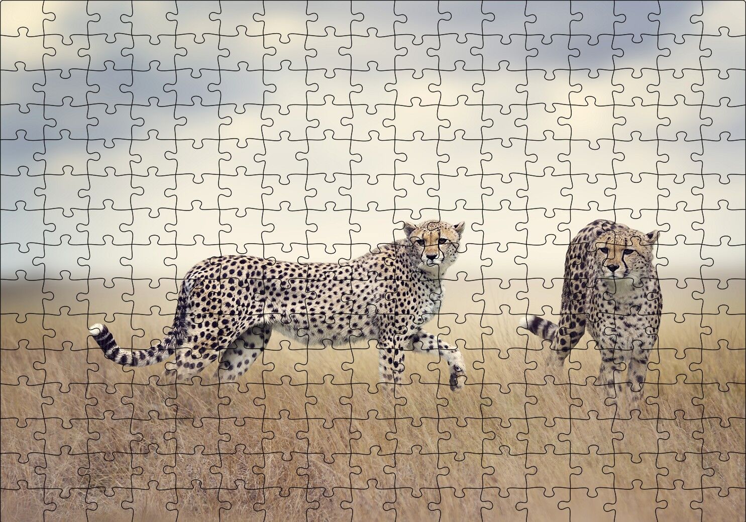 Savanada Av Hazırlığındaki Çitalar Puzzle Yapboz MDF Ahşap 255 Parça 34 cm X 49 cm