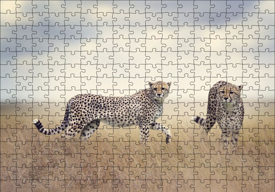 Savanada Av Hazırlığındaki Çitalar Puzzle Yapboz MDF Ahşap 255 Parça 34 cm X 49 cm