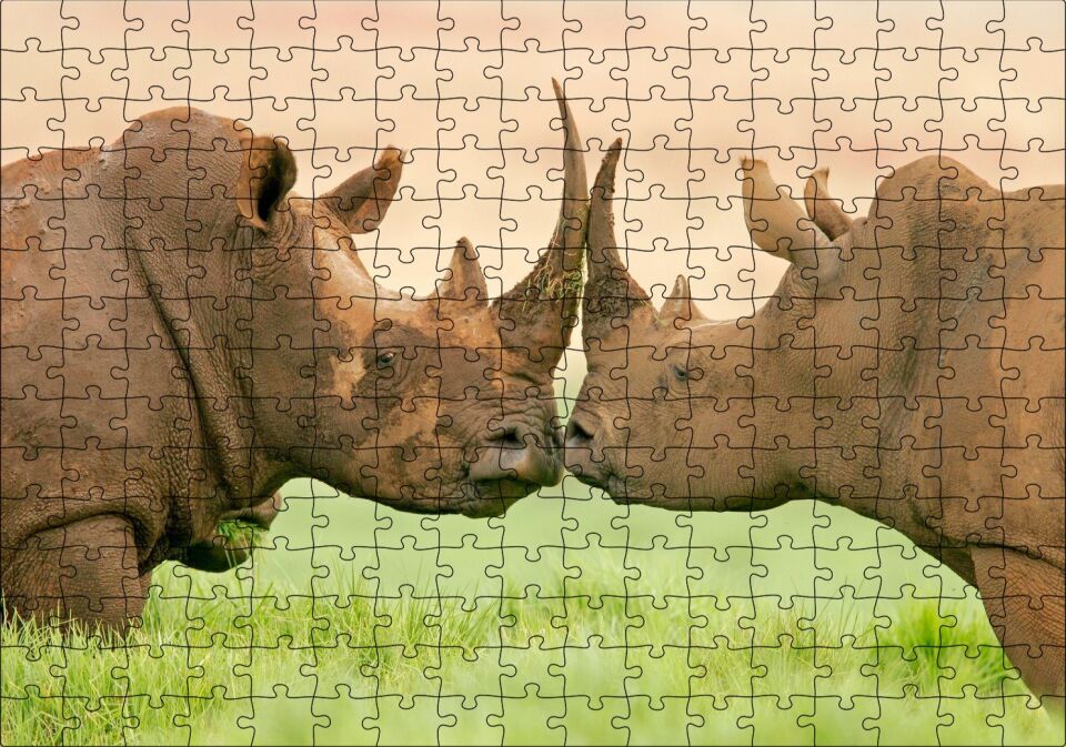 Yeşil Çayırdaki Erkek ve Dişi Gergedan Puzzle Yapboz MDF Ahşap 255 Parça 34 cm X 49 cm