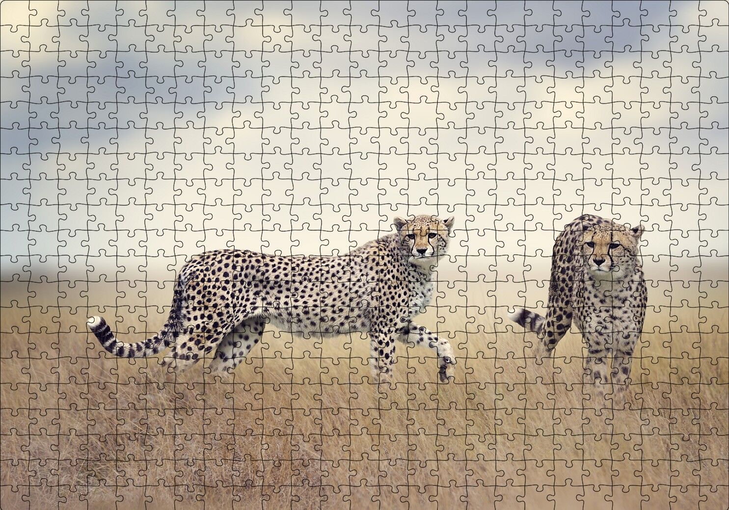 Savanada Av Hazırlığındaki Çitalar Puzzle Yapboz MDF Ahşap 500 Parça 49 cm X 68 cm