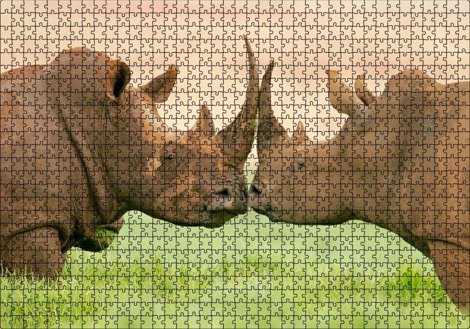 Yeşil Çayırdaki Erkek ve Dişi Gergedan Puzzle Yapboz MDF Ahşap 1000 Parça 49 cm X 68 cm