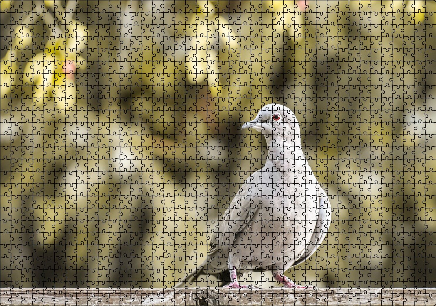 Kütük Üzerinde Gri Kumru Flu Arka Plan Puzzle Yapboz MDF Ahşap 1000 Parça 49 cm X 68 cm