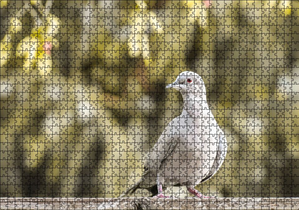 Kütük Üzerinde Gri Kumru Flu Arka Plan Puzzle Yapboz MDF Ahşap 1000 Parça 49 cm X 68 cm
