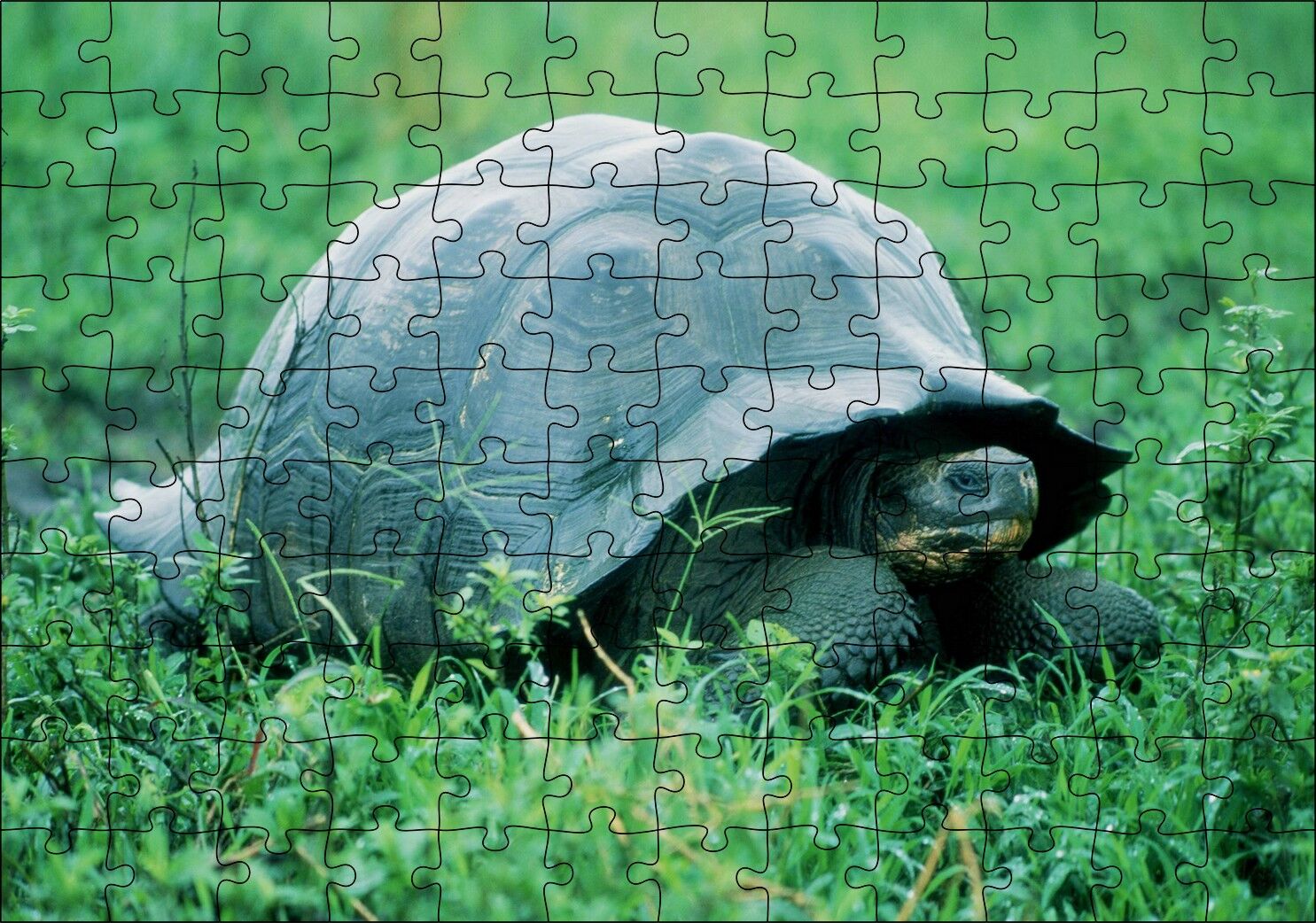 Yeşil Çayırdaki Kaplumbağa Puzzle Yapboz MDF Ahşap 120 Parça 24 cm X 34 cm