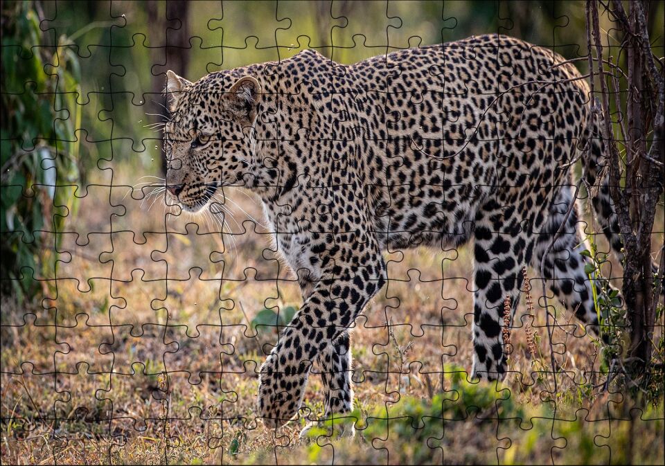 Kuru Otların Üzerinde Yürüyen Leopar Puzzle Yapboz MDF Ahşap