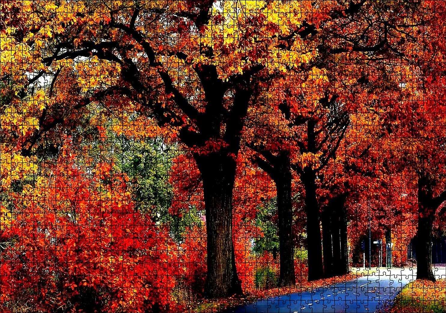 Ağaçlı Yol ve Sonbahar Yaprakları Puzzle Yapboz MDF Ahşap 1000 Parça 49 cm X 68 cm