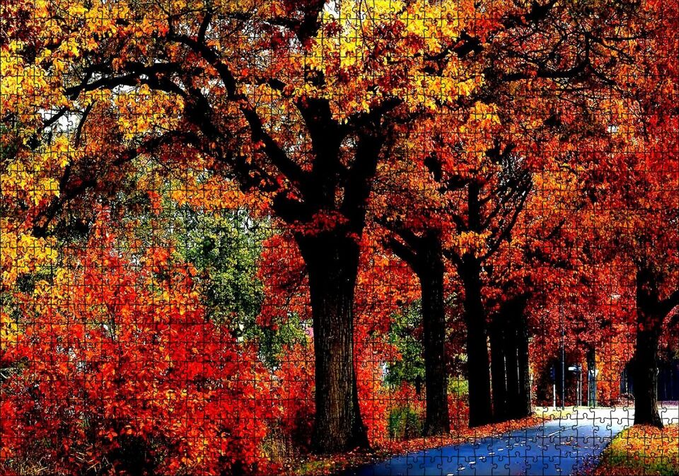 Ağaçlı Yol ve Sonbahar Yaprakları Puzzle Yapboz MDF Ahşap 1000 Parça 49 cm X 68 cm
