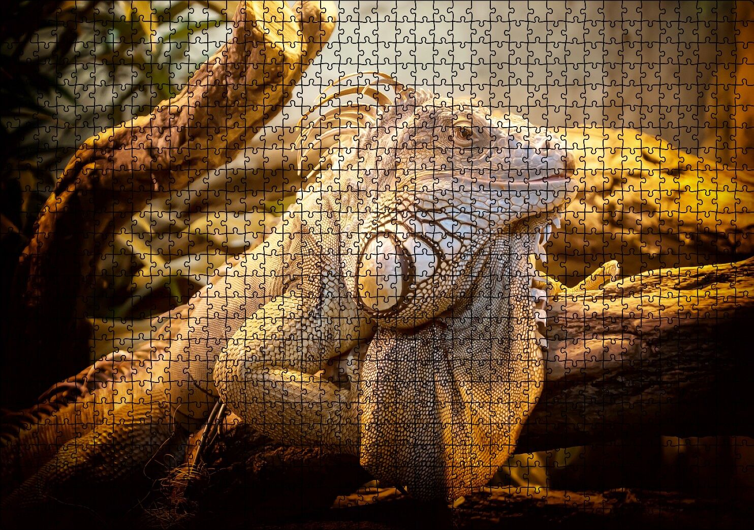 Kütükler Arasındaki Efsanevi Kertenkele Puzzle Yapboz MDF Ahşap 1000 Parça 49 cm X 68 cm