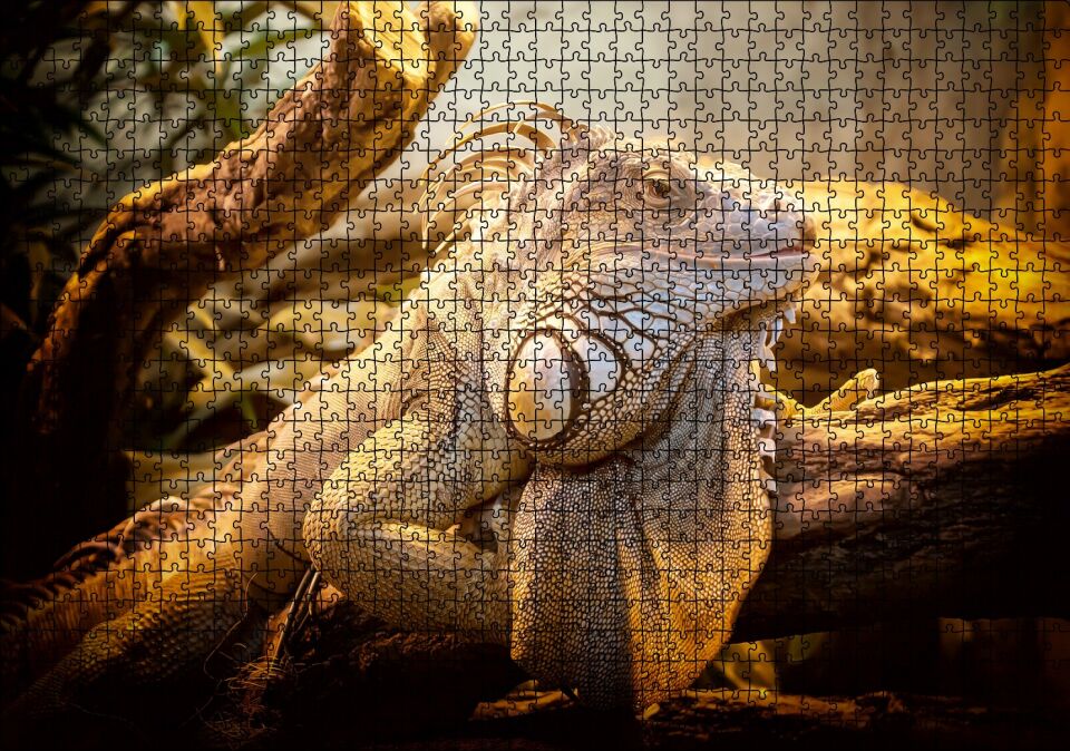 Kütükler Arasındaki Efsanevi Kertenkele Puzzle Yapboz MDF Ahşap 1000 Parça 49 cm X 68 cm