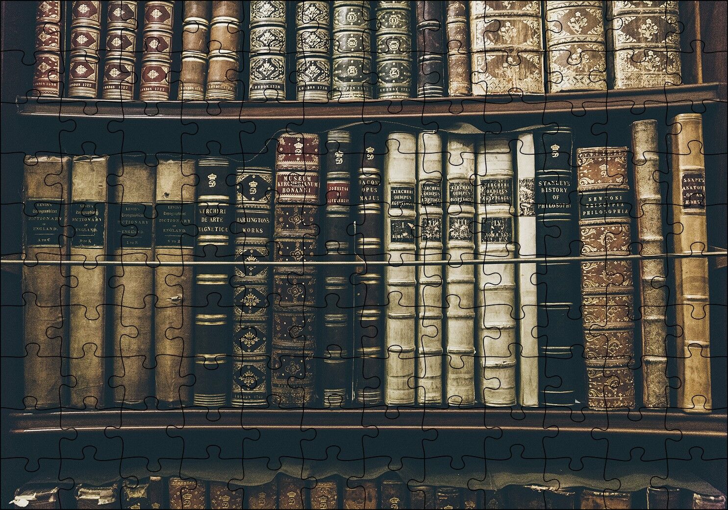 Kütüphane Rafında Ciltli Kitaplar Puzzle Yapboz MDF Ahşap