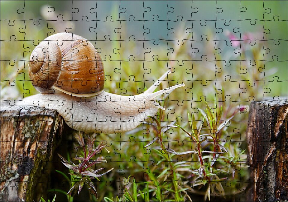 Kütükten Otların Üzerine İnen Salyangoz Puzzle Yapboz MDF Ahşap 120 Parça 24 cm X 34 cm