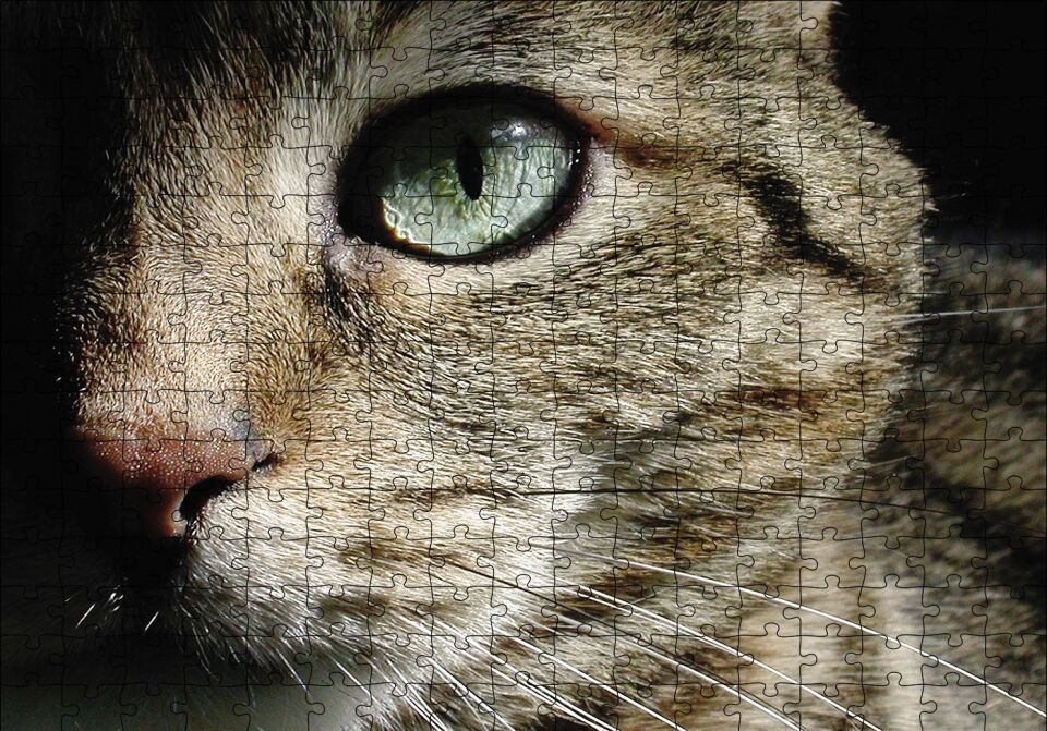 Yeşil Gözlü Kedi Puzzle Yapboz MDF Ahşap 255 Parça 34 cm X 49 cm