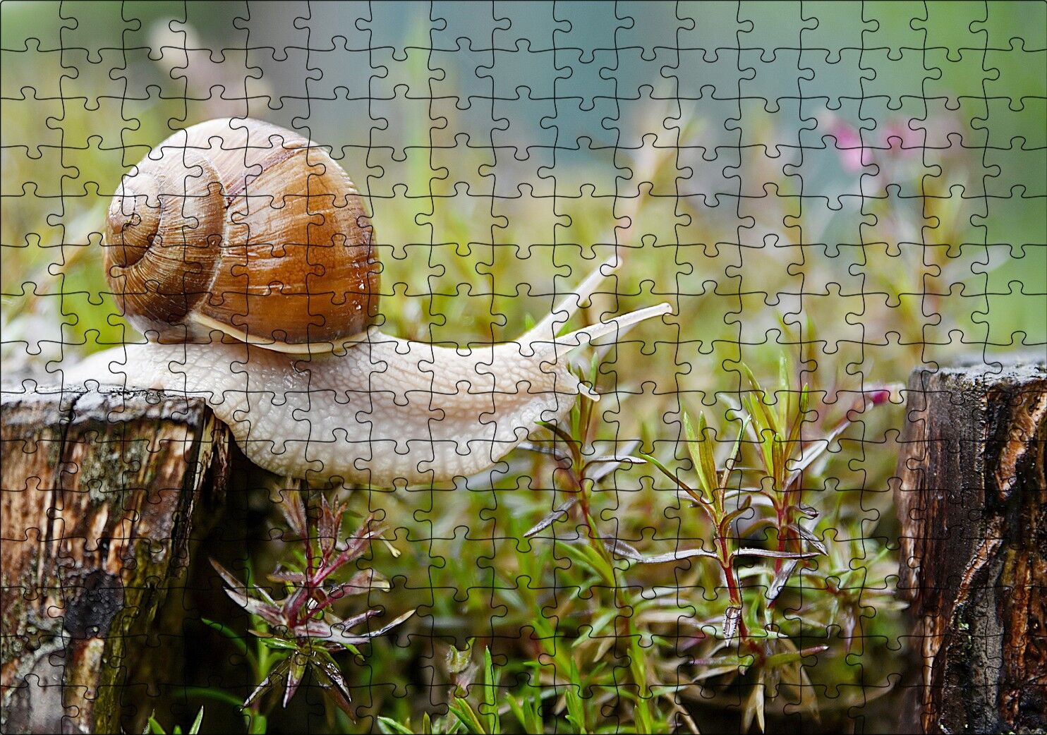 Kütükten Otların Üzerine İnen Salyangoz Puzzle Yapboz MDF Ahşap 255 Parça 34 cm X 49 cm