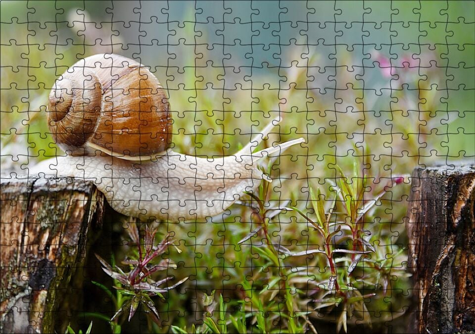 Kütükten Otların Üzerine İnen Salyangoz Puzzle Yapboz MDF Ahşap 255 Parça 34 cm X 49 cm
