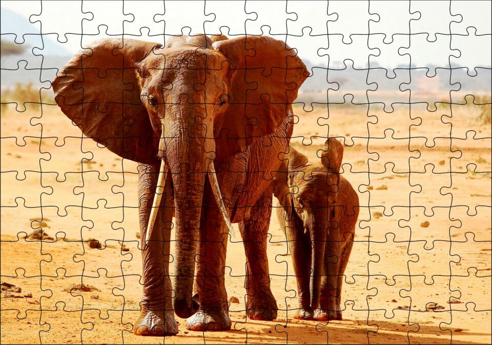 Afrika Savanada Anne Fil ve Yavrusu Puzzle Yapboz MDF Ahşap