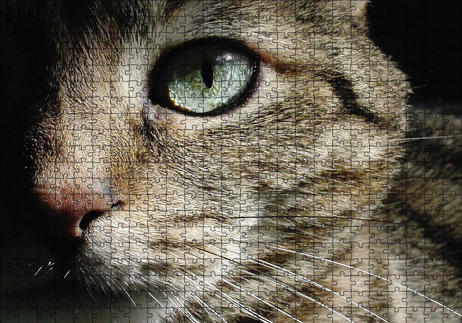 Yeşil Gözlü Kedi Puzzle Yapboz MDF Ahşap 500 Parça 49 cm X 68 cm