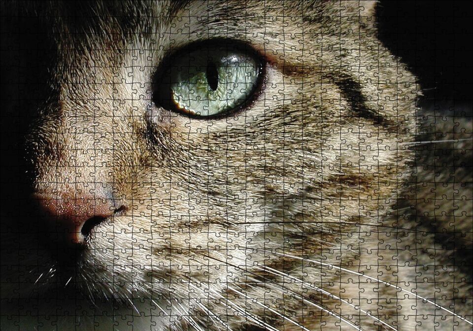 Yeşil Gözlü Kedi Puzzle Yapboz MDF Ahşap 500 Parça 49 cm X 68 cm