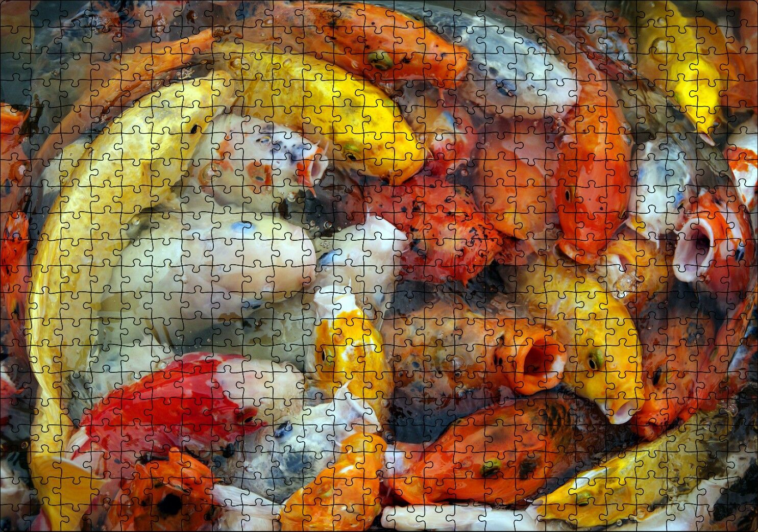 Beslenmek İçin Bekleyen Koi Balıkları Puzzle Yapboz MDF Ahşap 500 Parça 49 cm X 68 cm