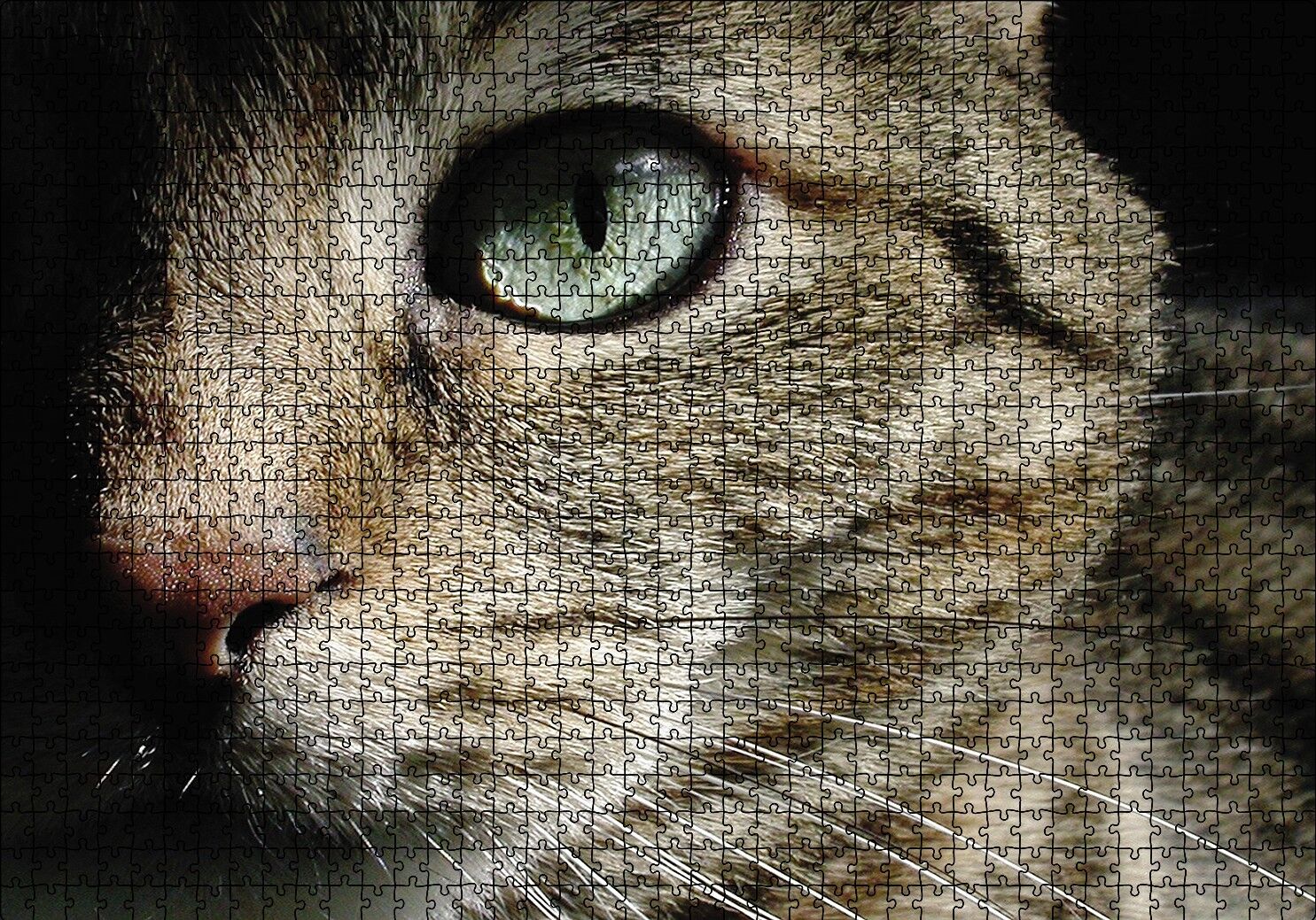 Yeşil Gözlü Kedi Puzzle Yapboz MDF Ahşap 1000 Parça 49 cm X 68 cm