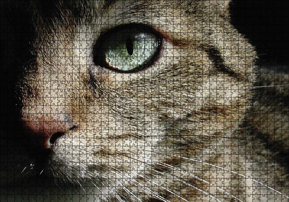 Yeşil Gözlü Kedi Puzzle Yapboz MDF Ahşap 1000 Parça 49 cm X 68 cm