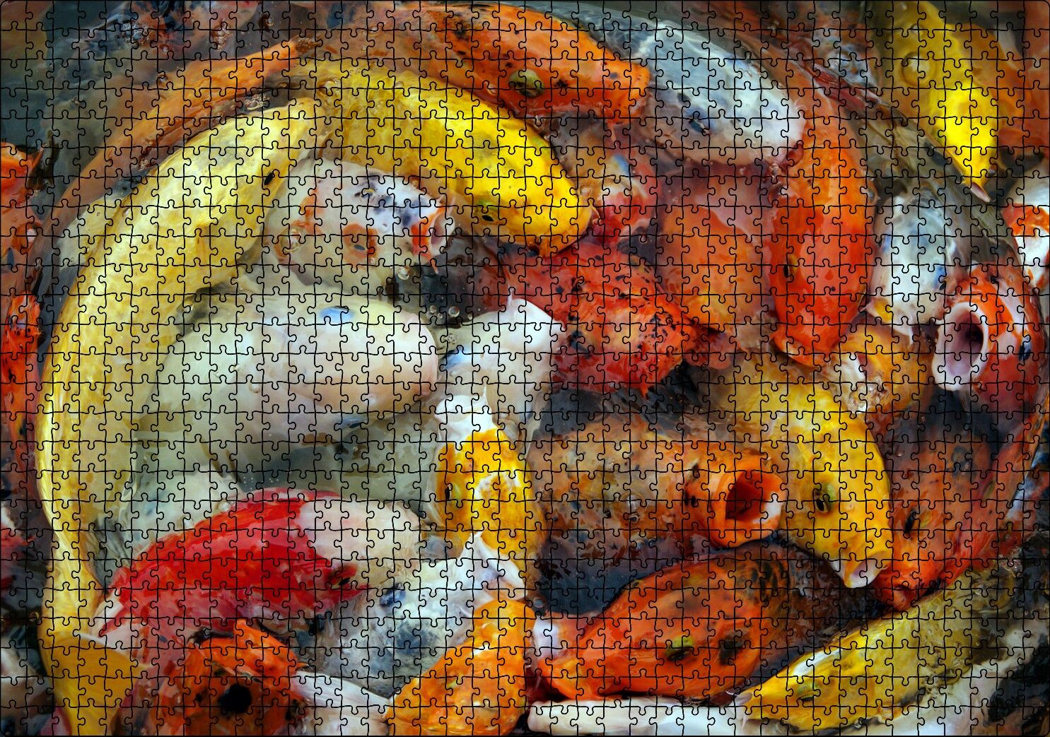 Beslenmek İçin Bekleyen Koi Balıkları Puzzle Yapboz MDF Ahşap 1000 Parça 49 cm X 68 cm