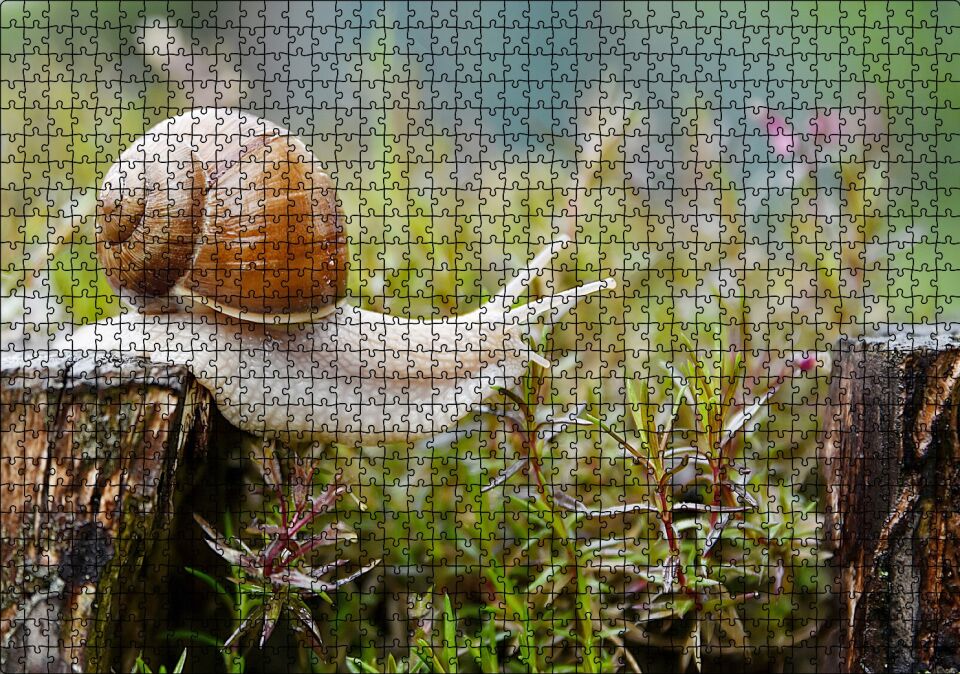Kütükten Otların Üzerine İnen Salyangoz Puzzle Yapboz MDF Ahşap 1000 Parça 49 cm X 68 cm