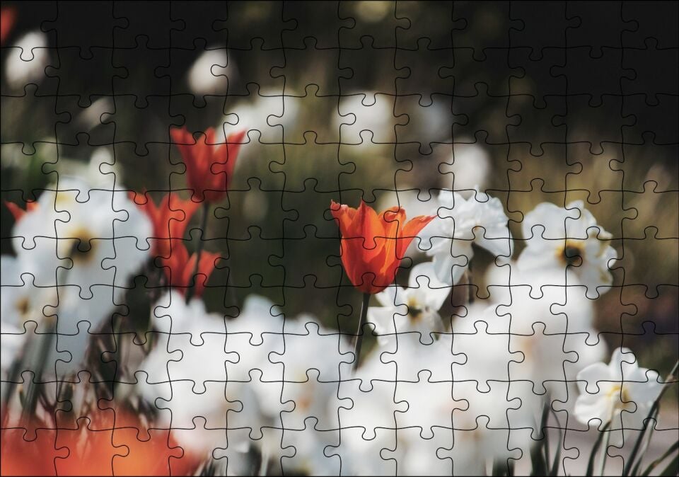 Beyaz ve Kırmızı Gelincikler Flu Arka Plan Puzzle Yapboz MDF Ahşap 120 Parça 24 cm X 34 cm