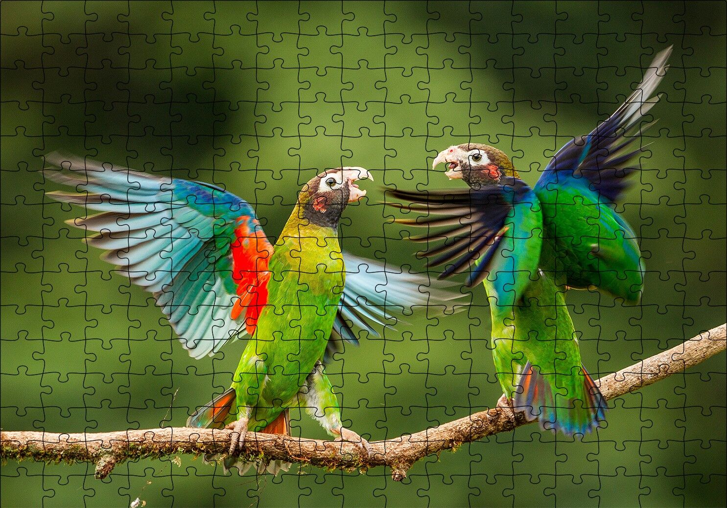 Sevda Papağanları Puzzle Yapboz MDF Ahşap 255 Parça 34 cm X 49 cm