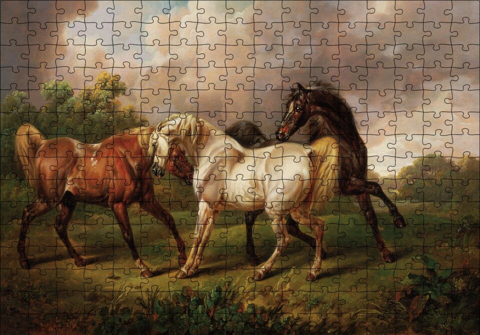 Dövüşen Kaslı Atlar Yağlı Boya Puzzle Yapboz MDF Ahşap 255 Parça 34 cm X 49 cm