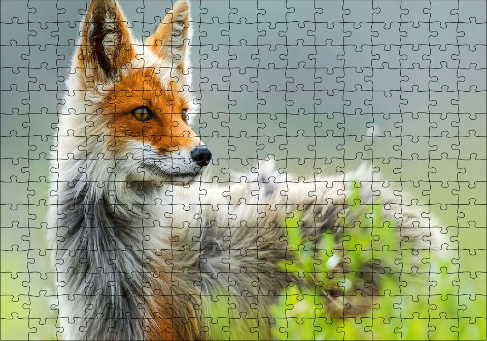 Kızıl Tilki Görseli Puzzle Yapboz MDF Ahşap 255 Parça 34 cm X 49 cm