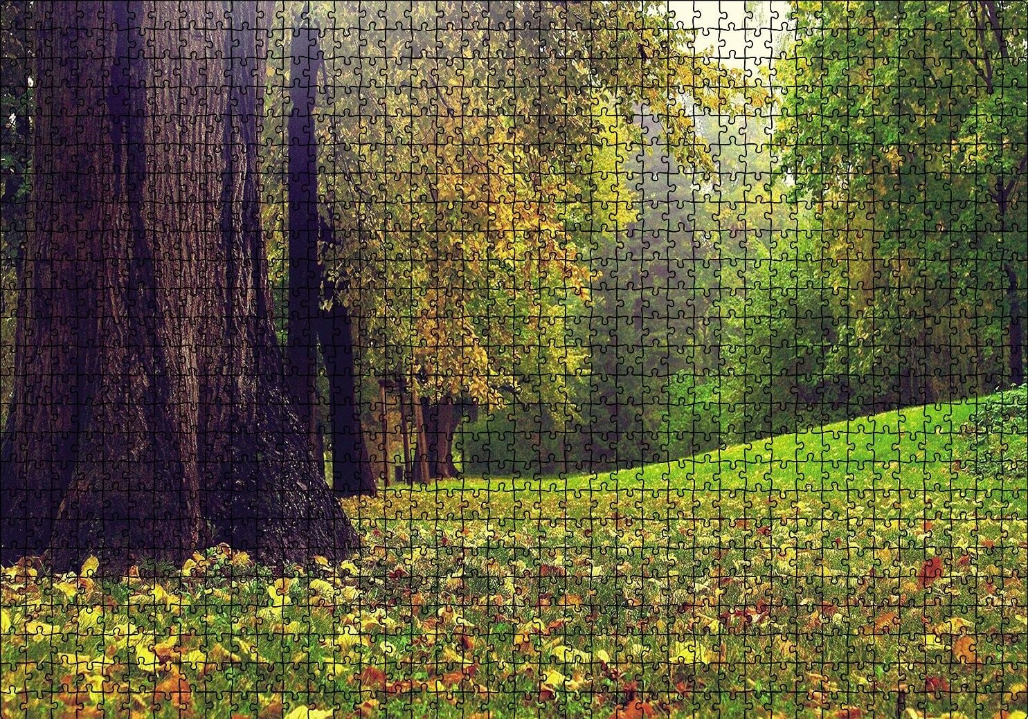 Orman ve Çimler Doğa Puzzle Yapboz MDF Ahşap 1000 Parça 49 cm X 68 cm