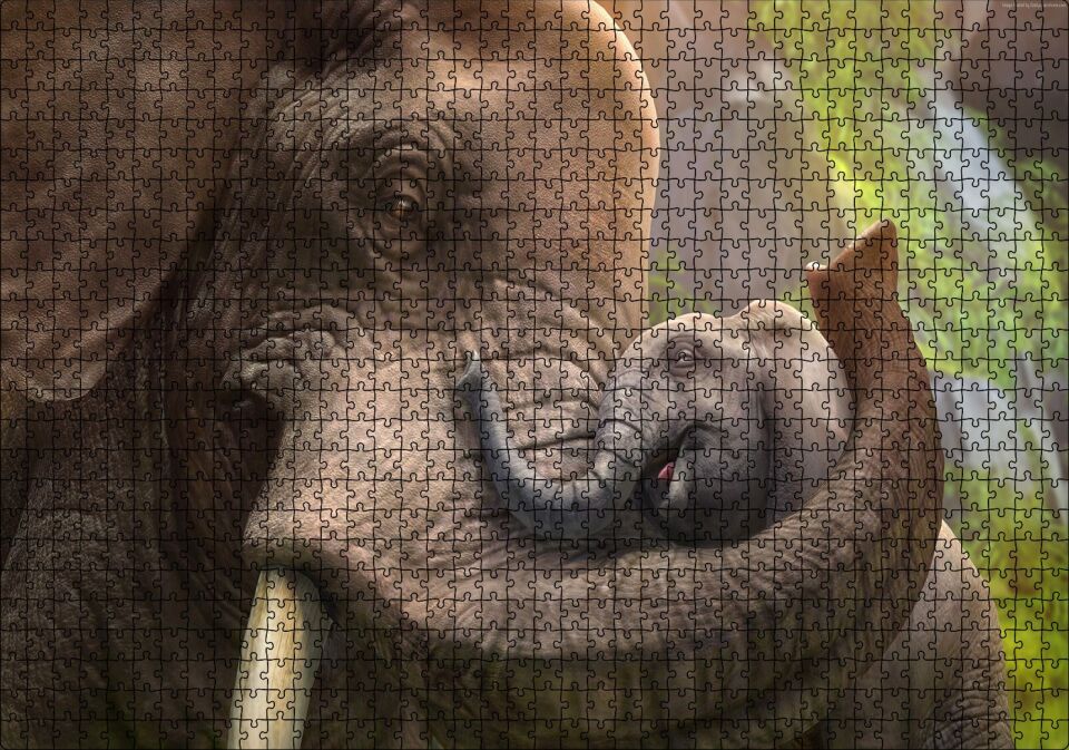 Anne Fil ve Mutlu Yavrusu Dijital Çizim Puzzle Yapboz MDF Ahşap 1000 Parça 49 cm X 68 cm